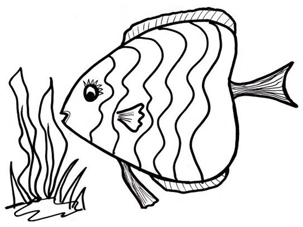 Fish Color Pages To Print Activity Shelter