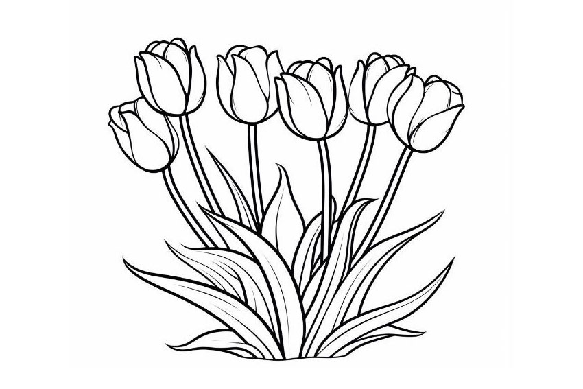 Flower Coloring Pages Free Printable Flower Coloring Sheets 