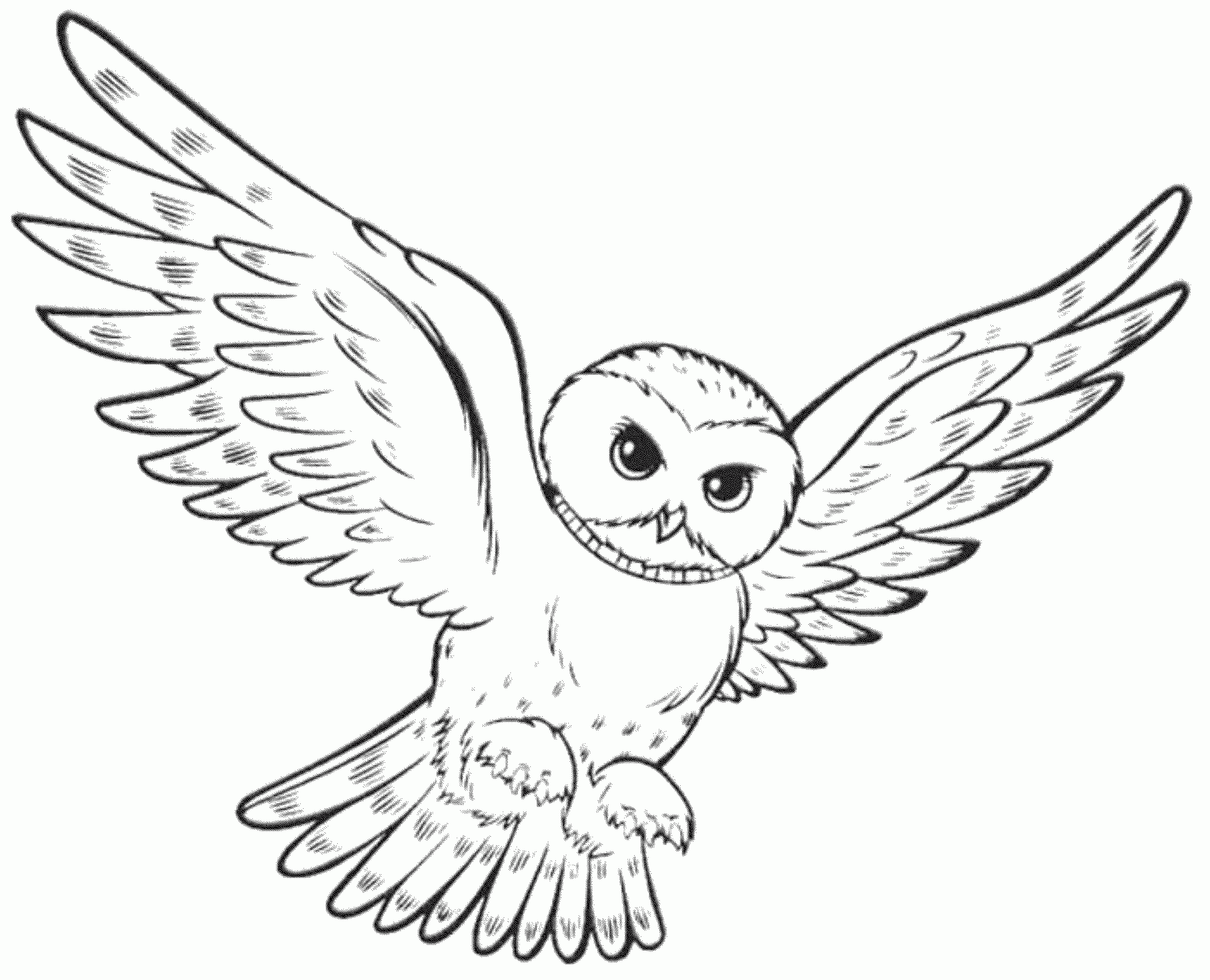 Flying Owl Coloring Pages Coloring Home