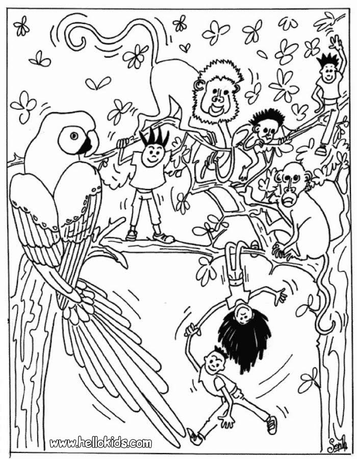 Forest Animals Coloring Pages Coloring Home