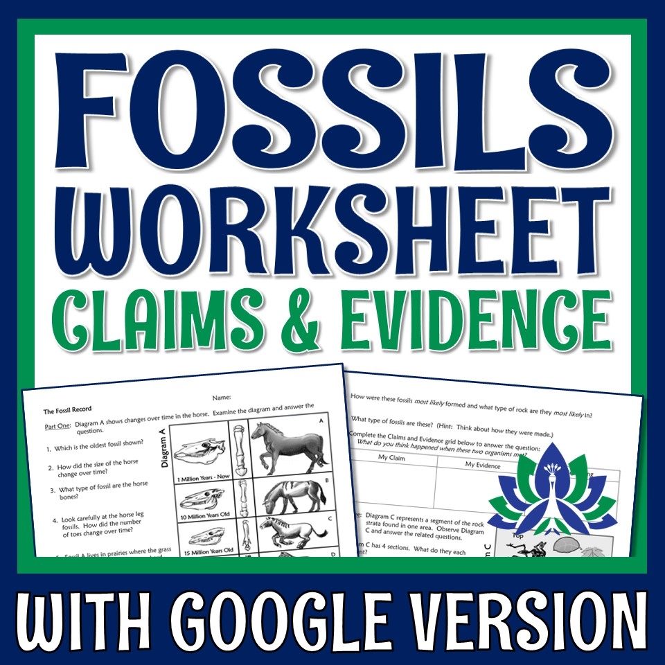 Fossils CER Worksheet Flying Colors Science