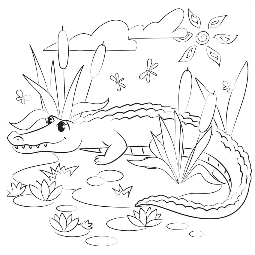 Free Alligator Coloring Page Free Printable Coloring Pages For Kids