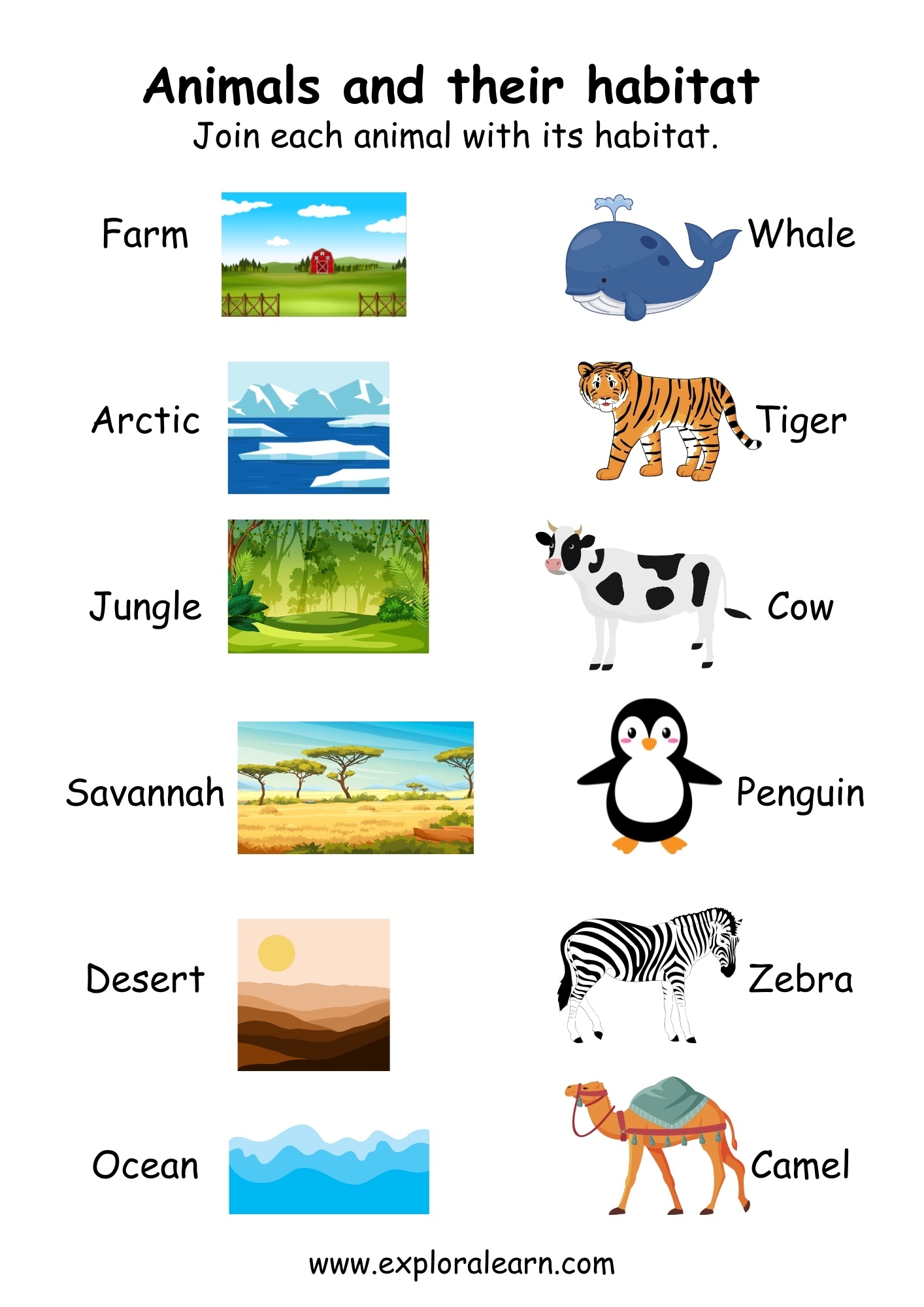 animals and habitats worksheet
