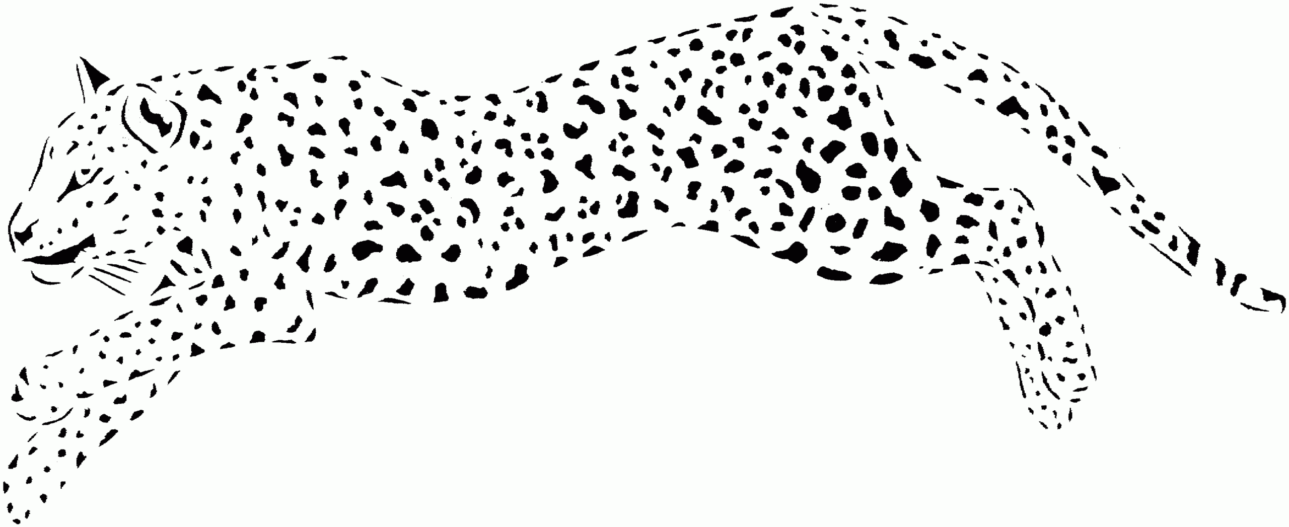 free cheetah coloring pages