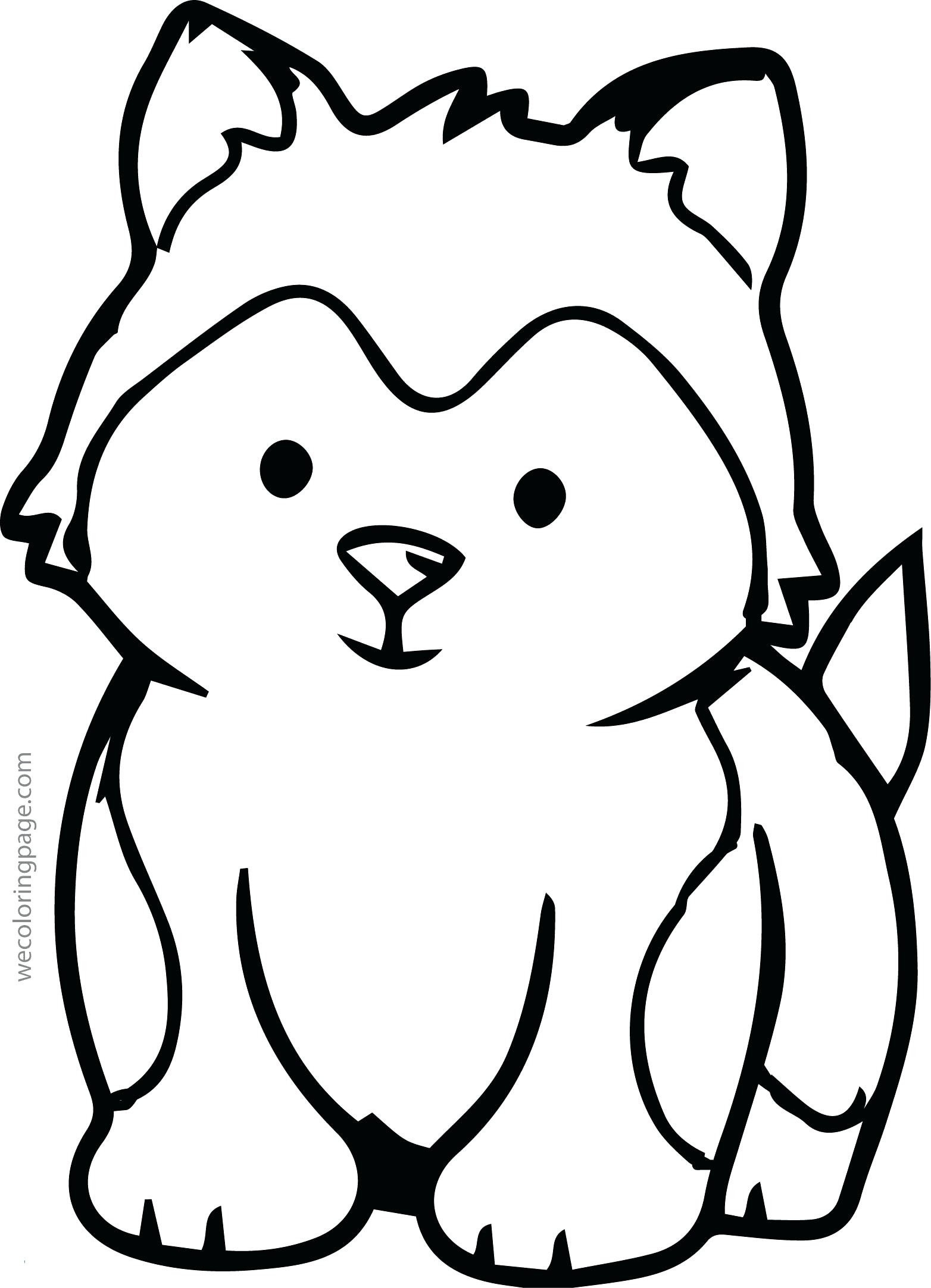 blank coloring pages of animals