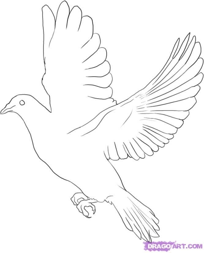 free dove template