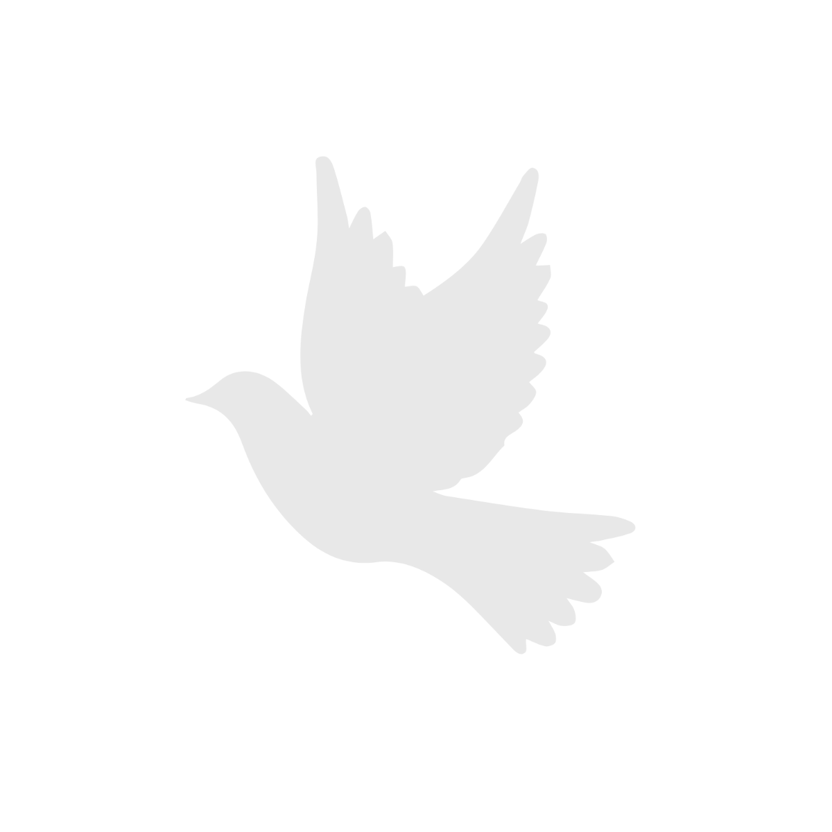 Free Dove Template To Edit Online