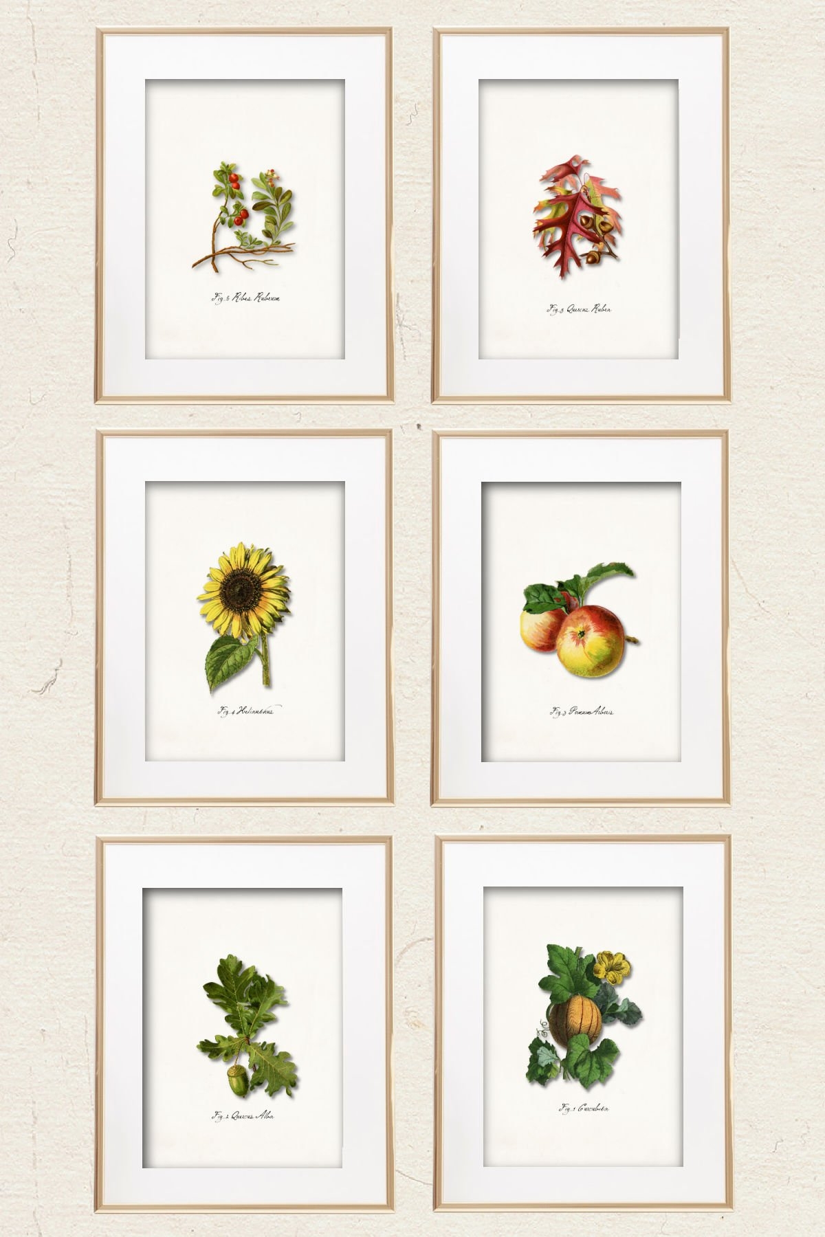 free printable wall art ideas