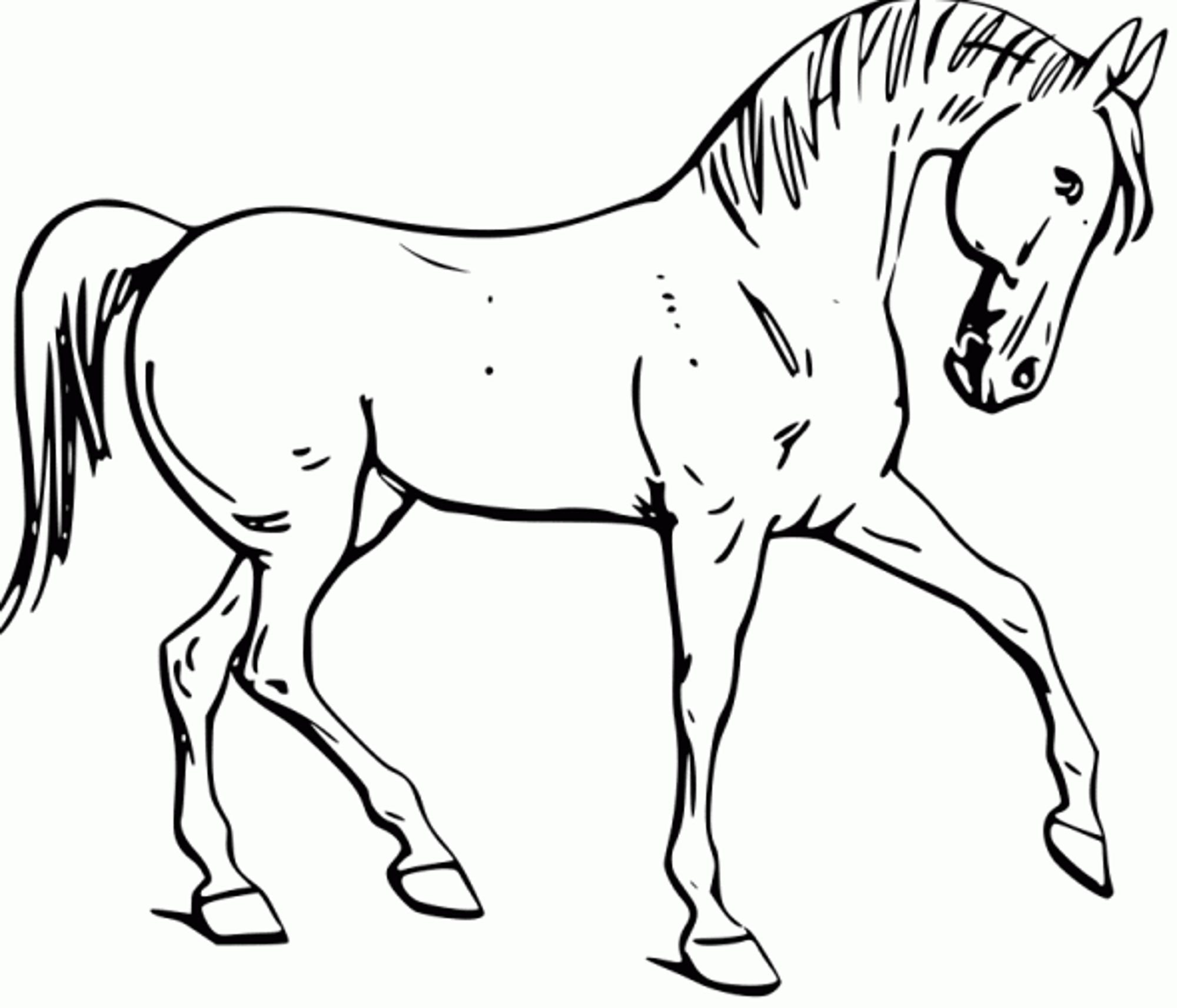 free printable horse pictures to color
