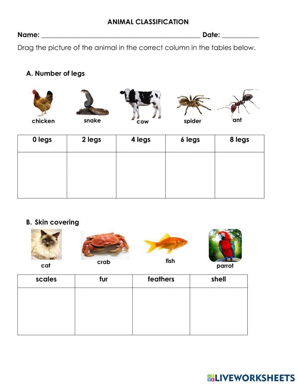 Free Printable Animal Classification Worksheet Worksheets Library