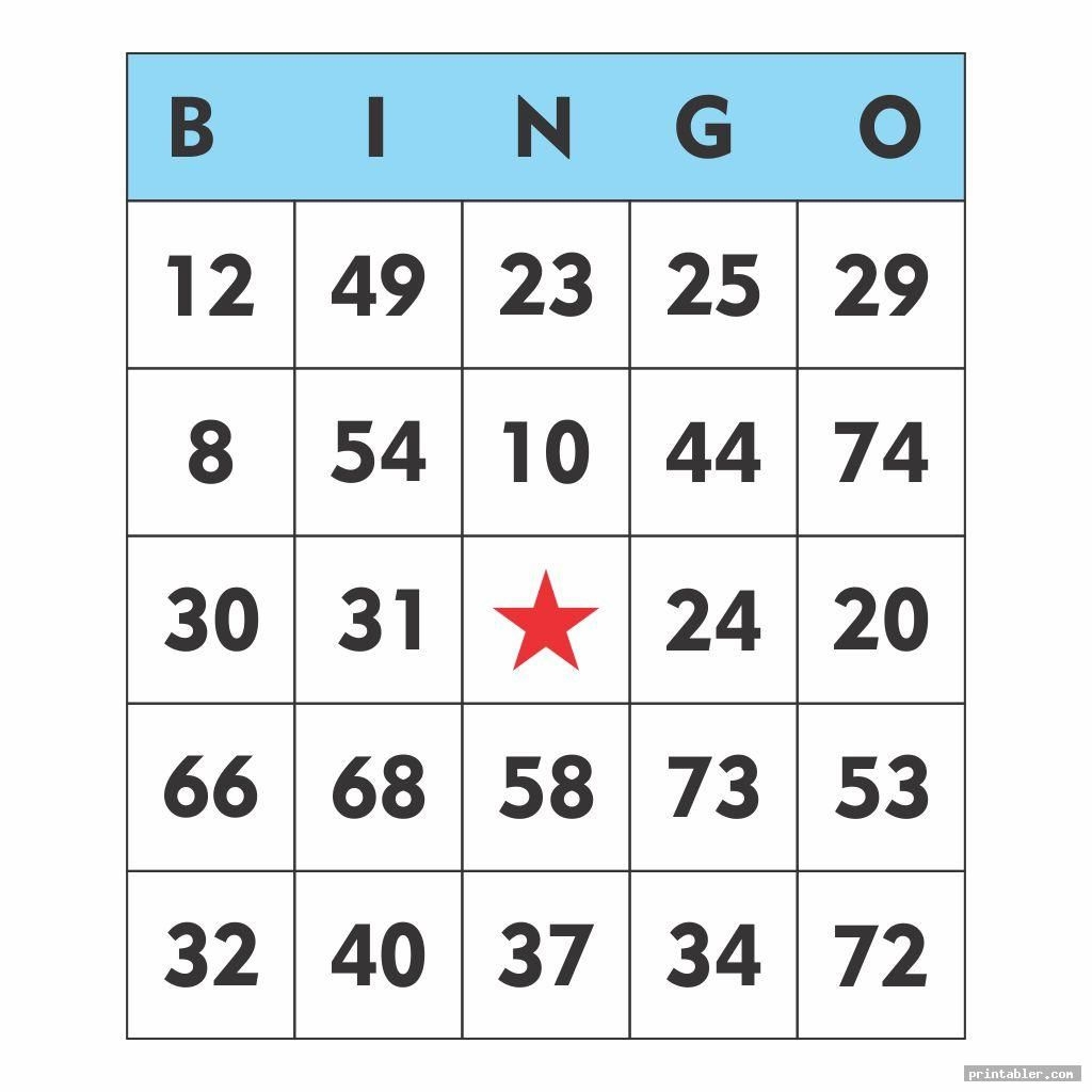 printable bingo cards 1-90 pdf