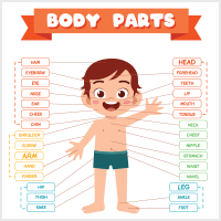 free printable kiddo worksheets