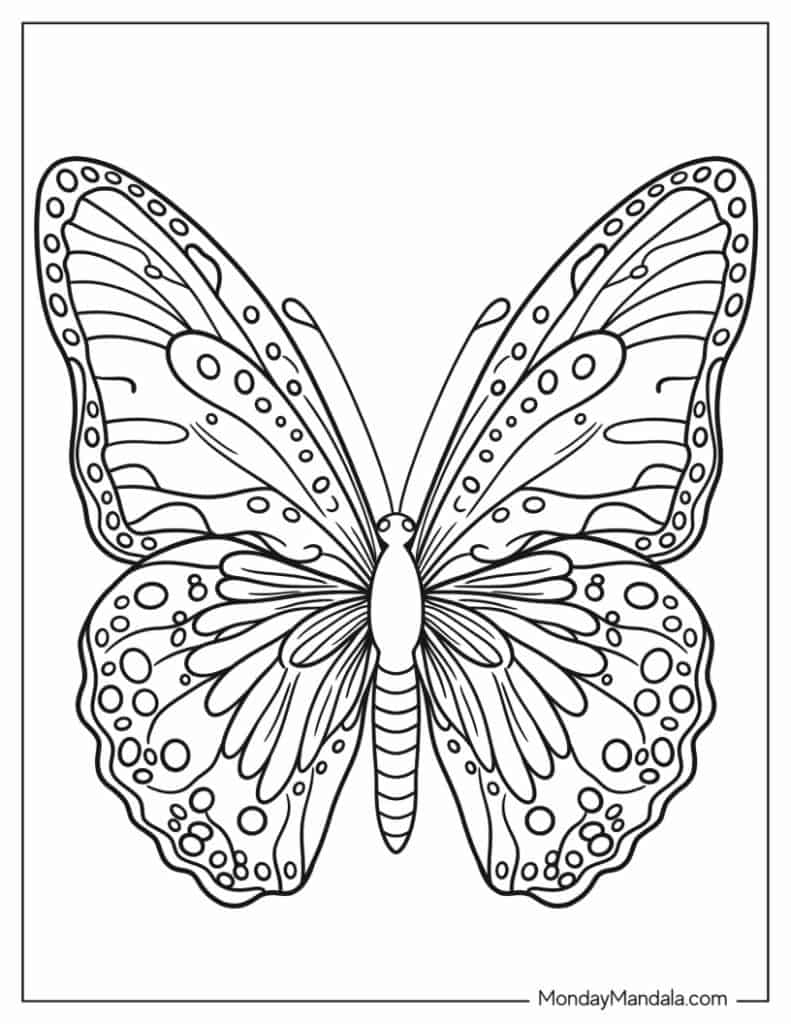 free printable butterfly sketches