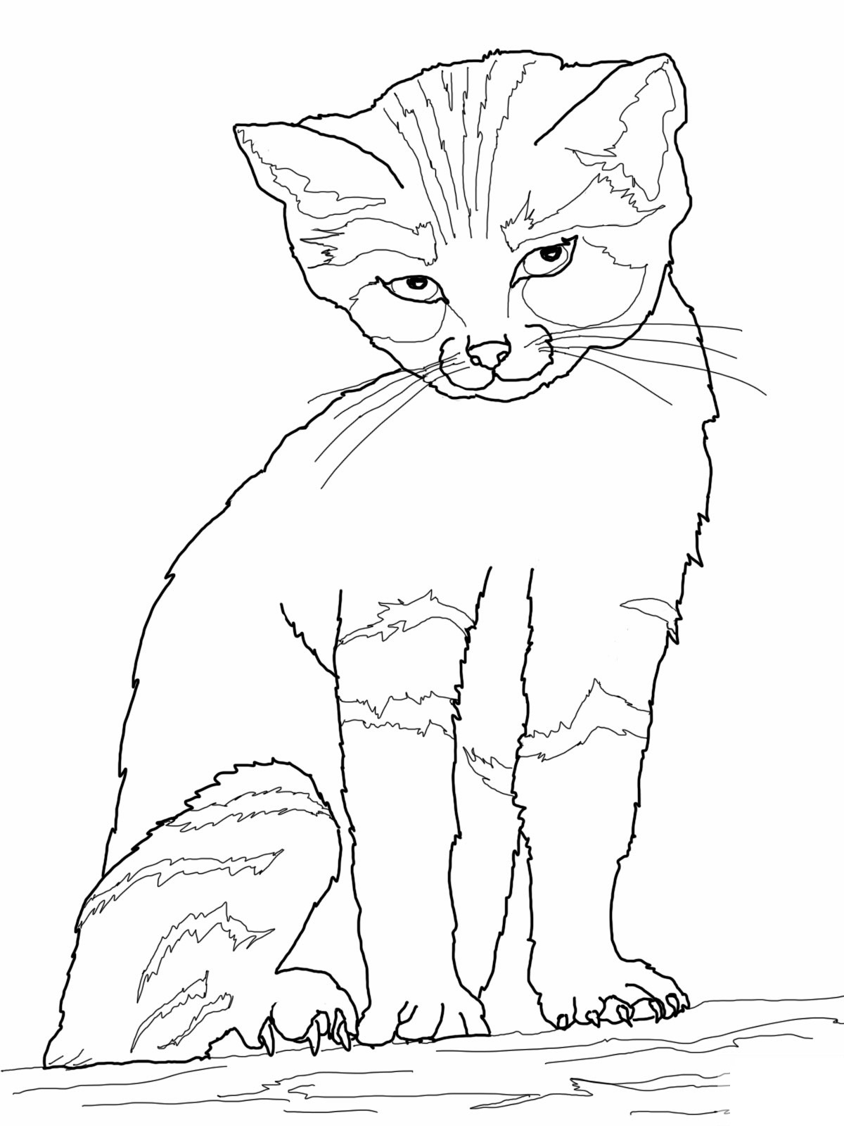 cat free coloring pages