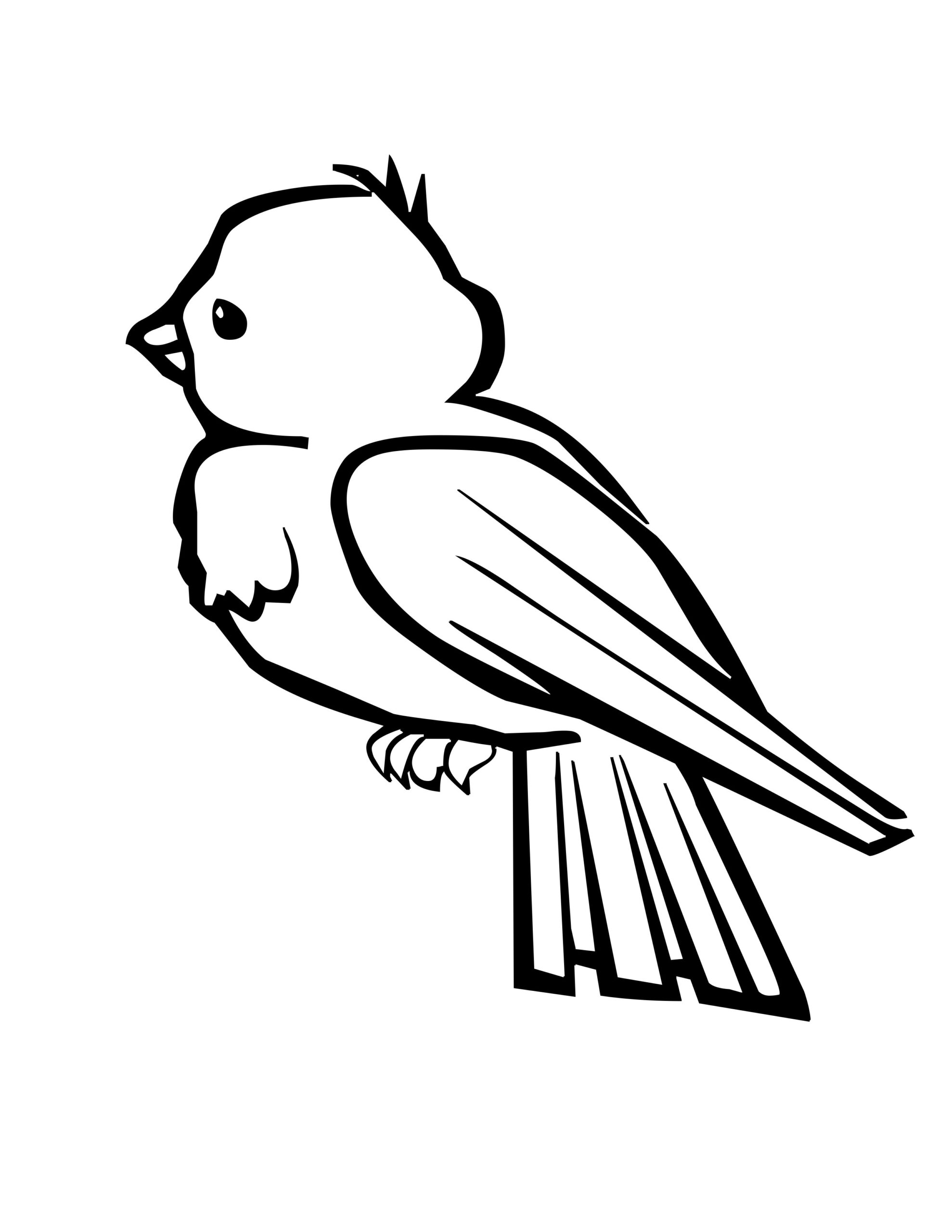 free coloring pages of birds