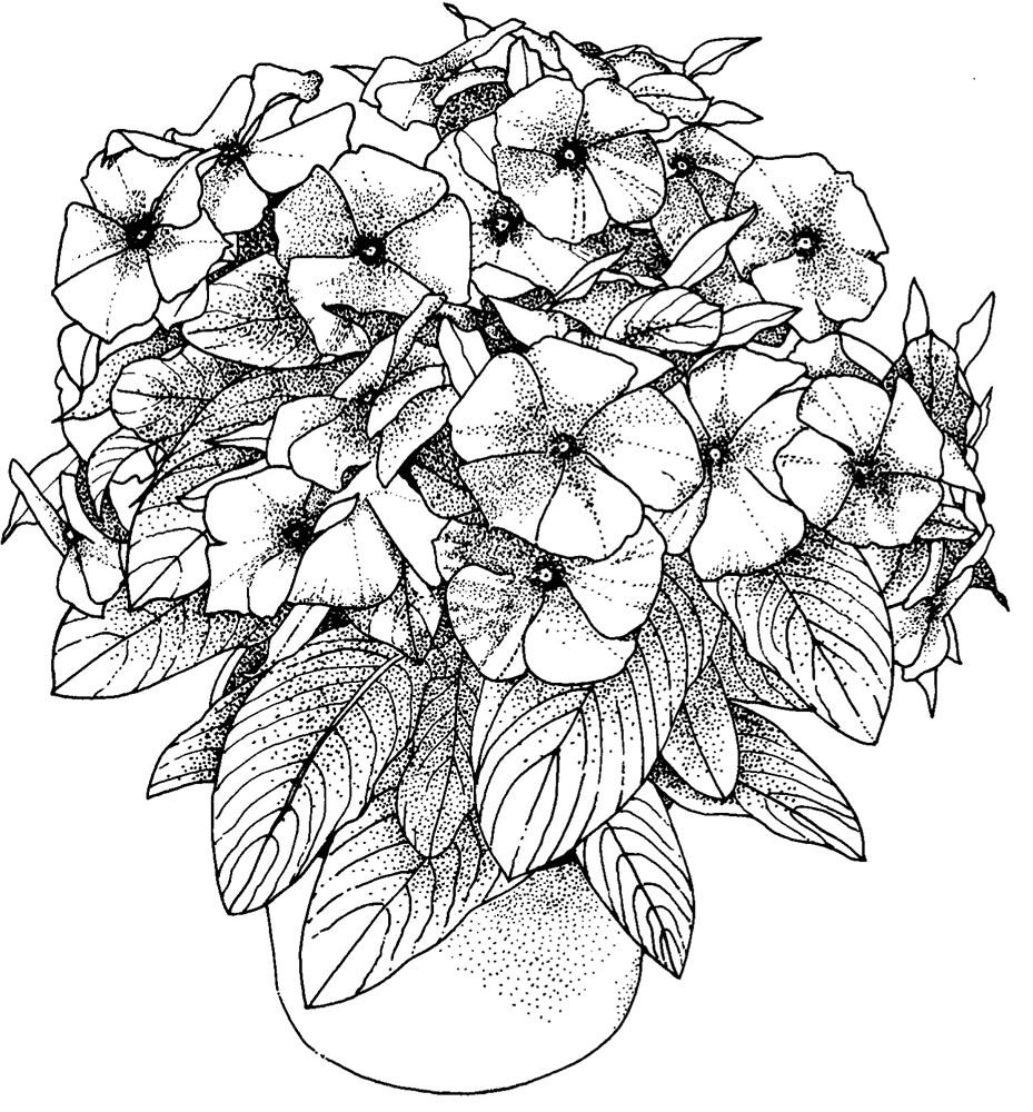 adult coloring pages online free