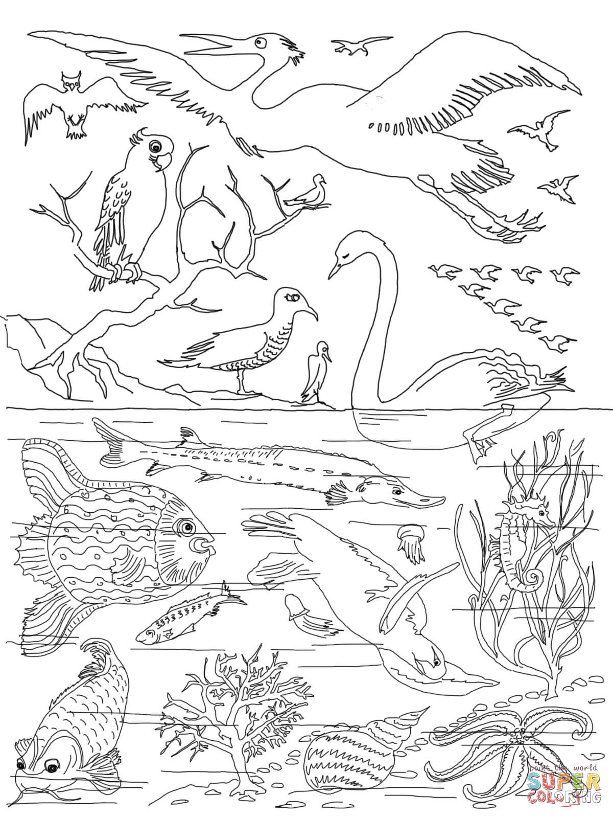 Free Printable Coloring Pages Of Creation Story Coloring Home