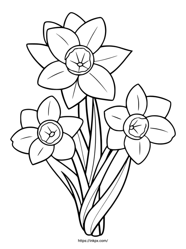 free printable daffodil patterns