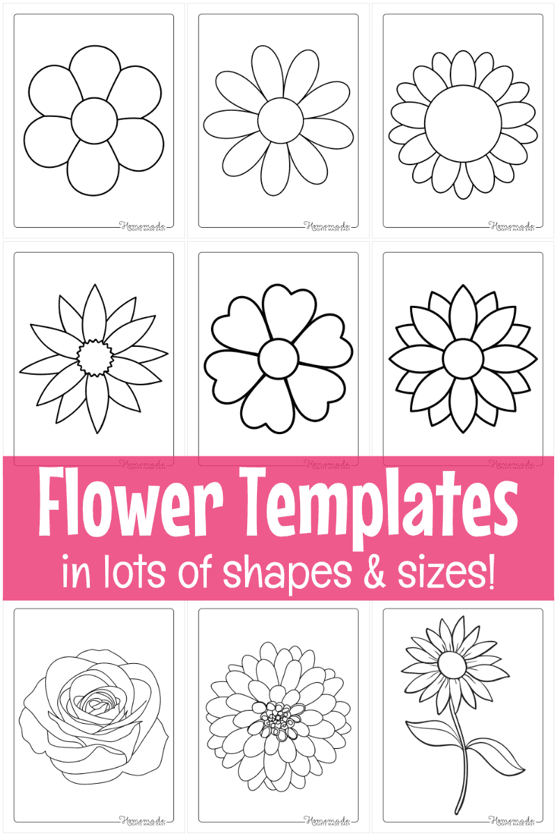 Free Printable Daisy Flower Template Download Free Printable Daisy 