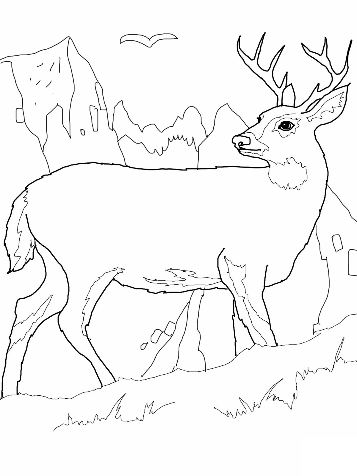 printable deer pictures to color