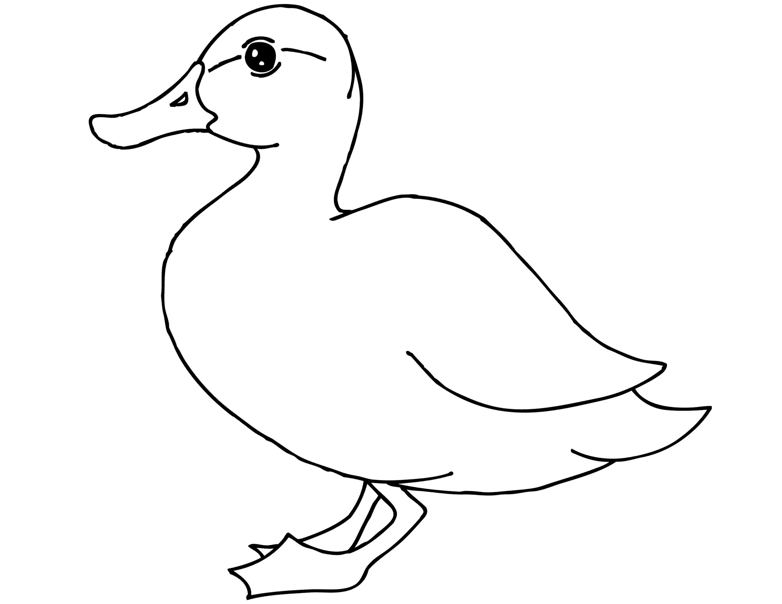 free printable duck coloring pages