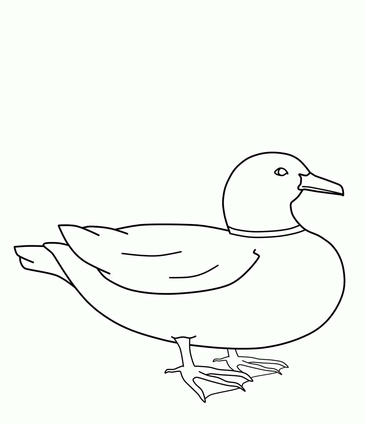 Free Printable Duck Coloring Pages For Kids Free Duck Printables 