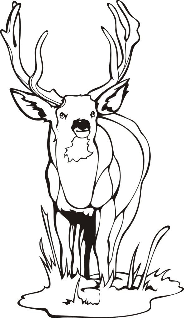 Coloring Pages To Print For Free