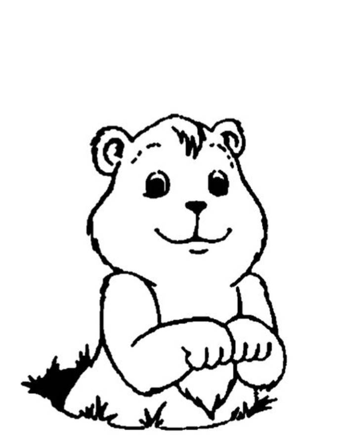 Free Printable Groundhog Coloring Page