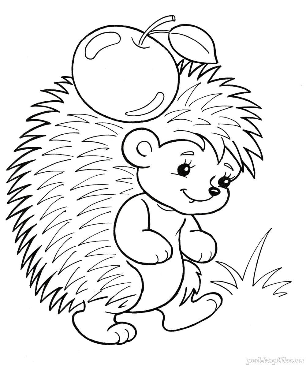 Free Printable Hedgehog Coloring Pages
