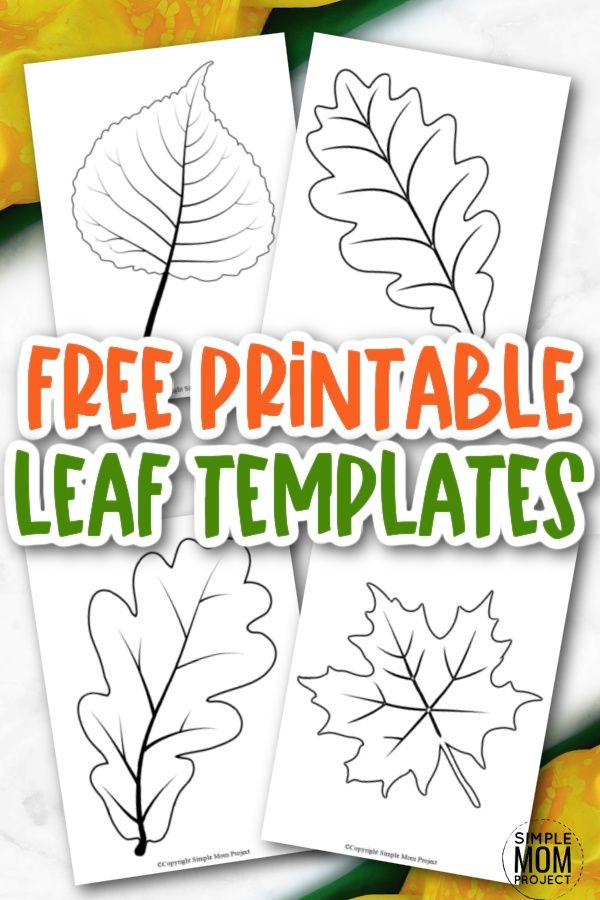 free printable leaf pictures to color