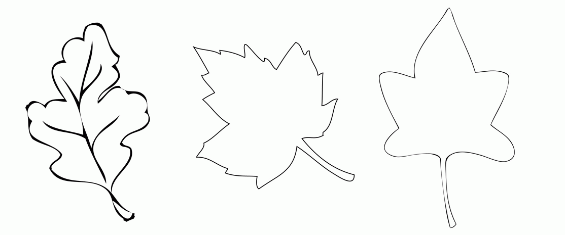 Free Printable Leaf Shapes Download Free Printable Leaf Shapes Png 