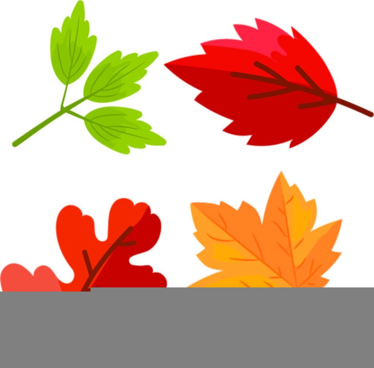 FREE Printable Leaves Pictures Leaf Templates