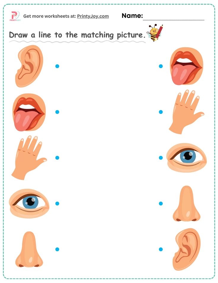 Free Printable Matching Worksheets Fun Worksheets For Kids Kids 