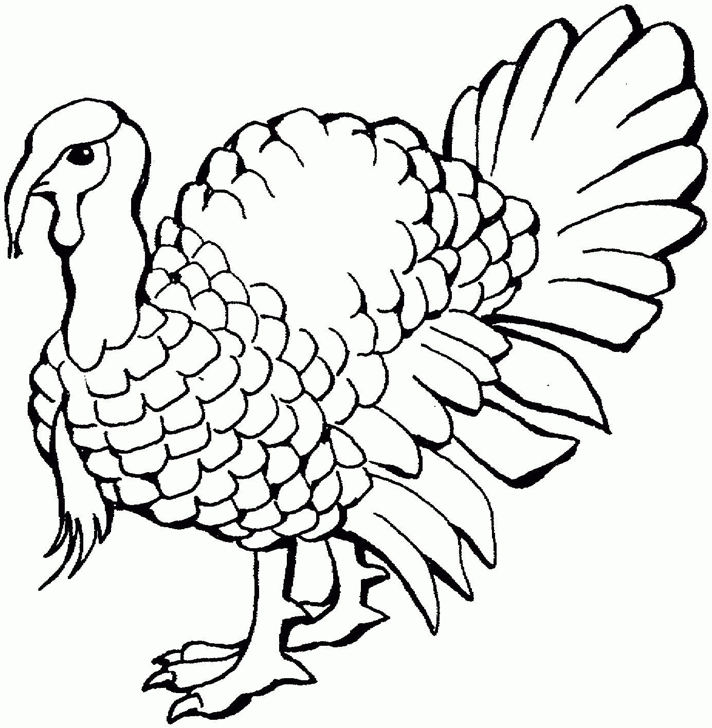 Free Printable Pictures Of Turkeys To Color Free Printable