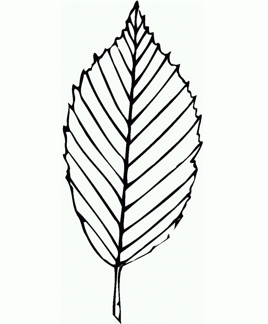 Free Printable Pot Leaf Coloring Pages
