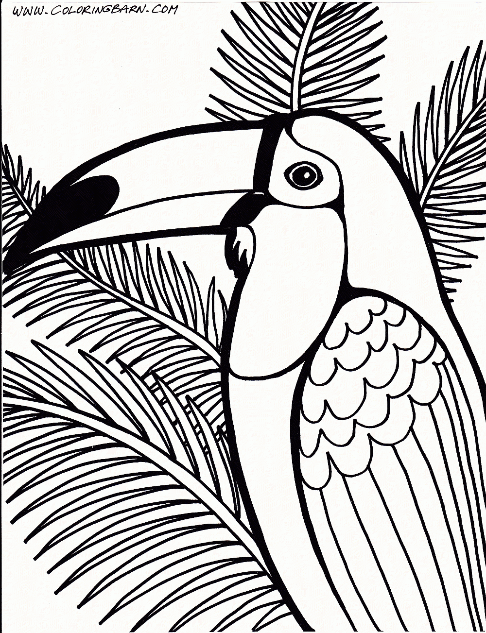 Free Printable Rainforest Coloring Pages Coloring Home