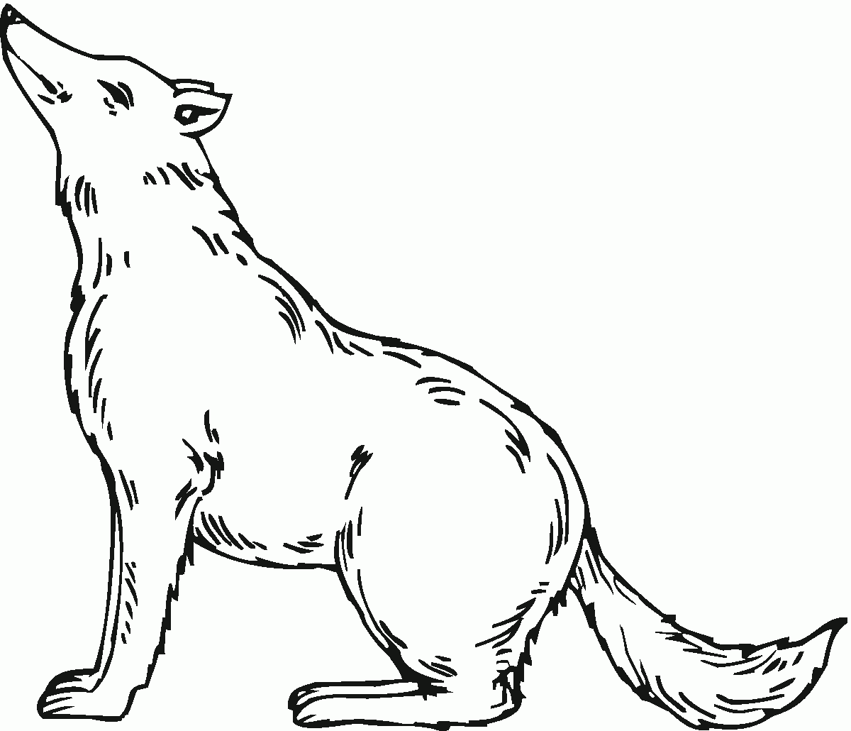 free coloring pages wolf