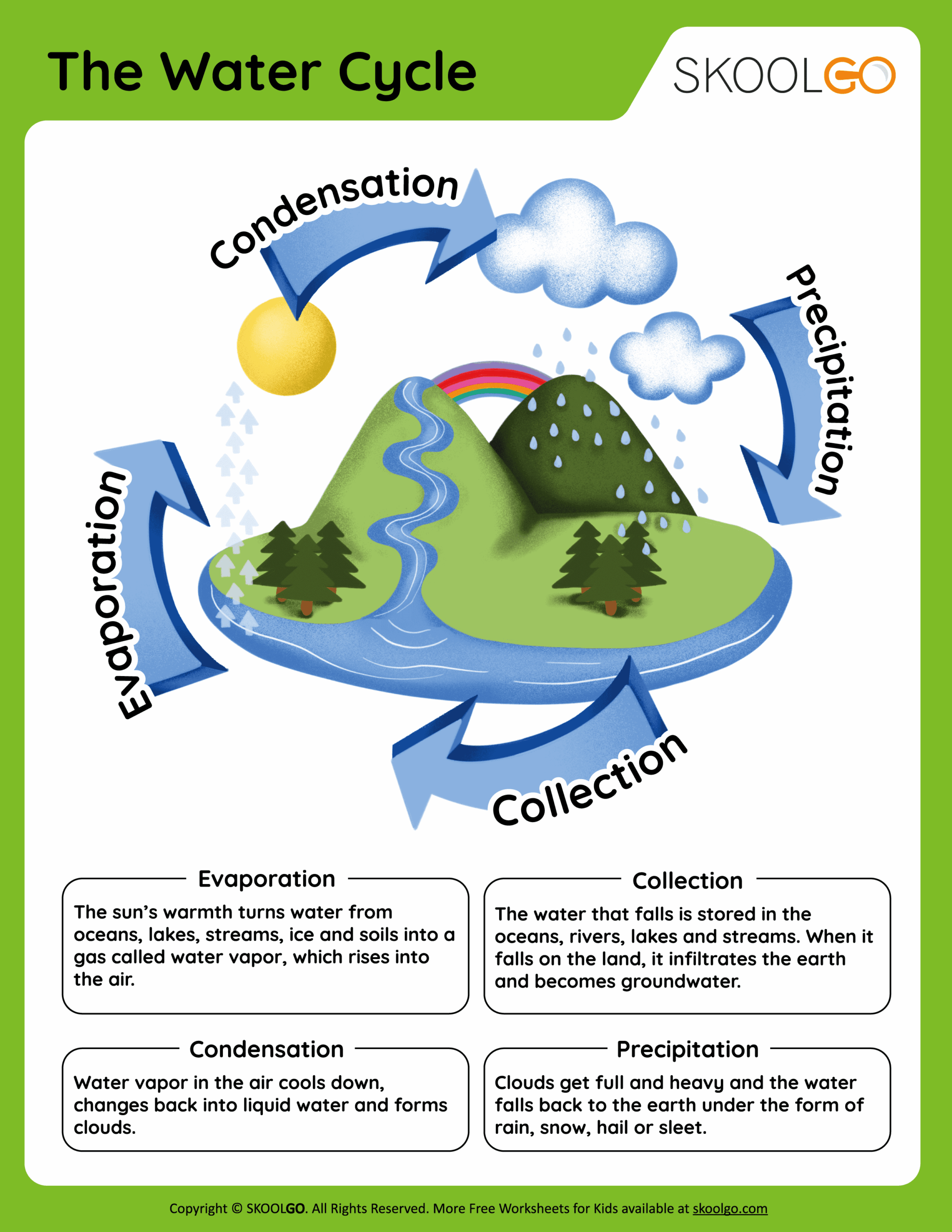 water cycle worksheet pdf
