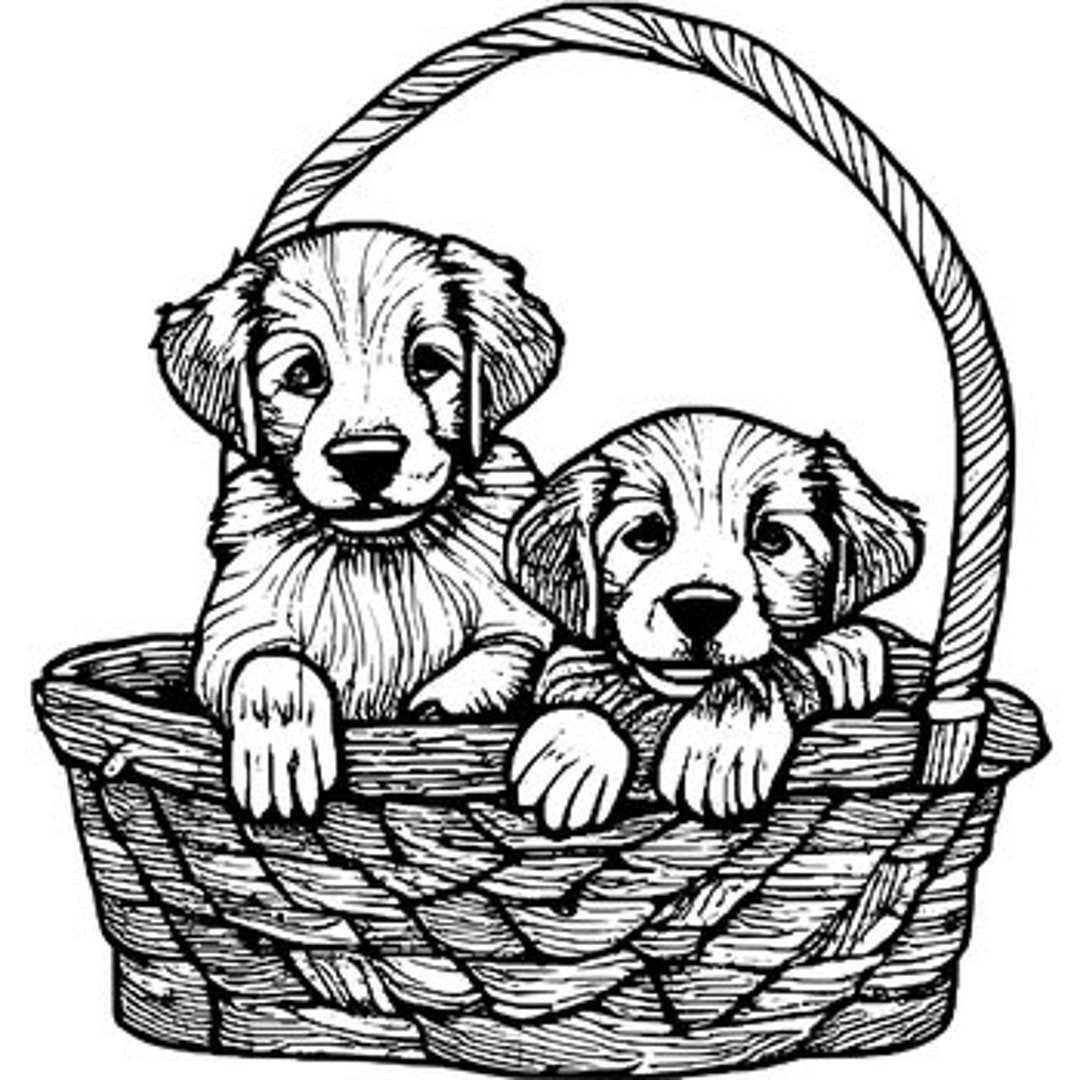 Golden Retriever Color Page