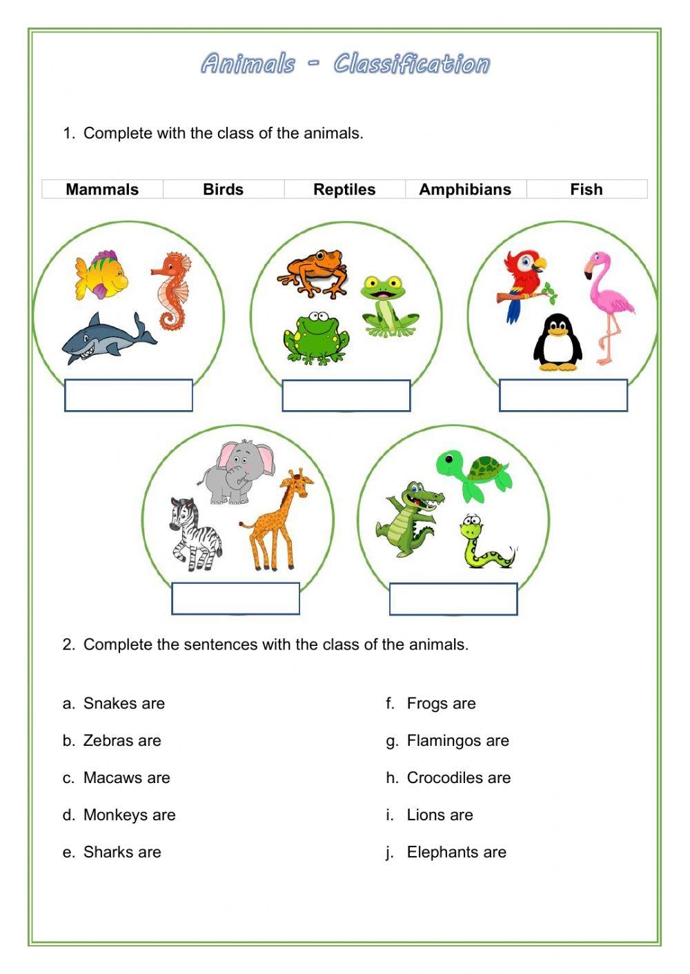 classifying animals worksheet