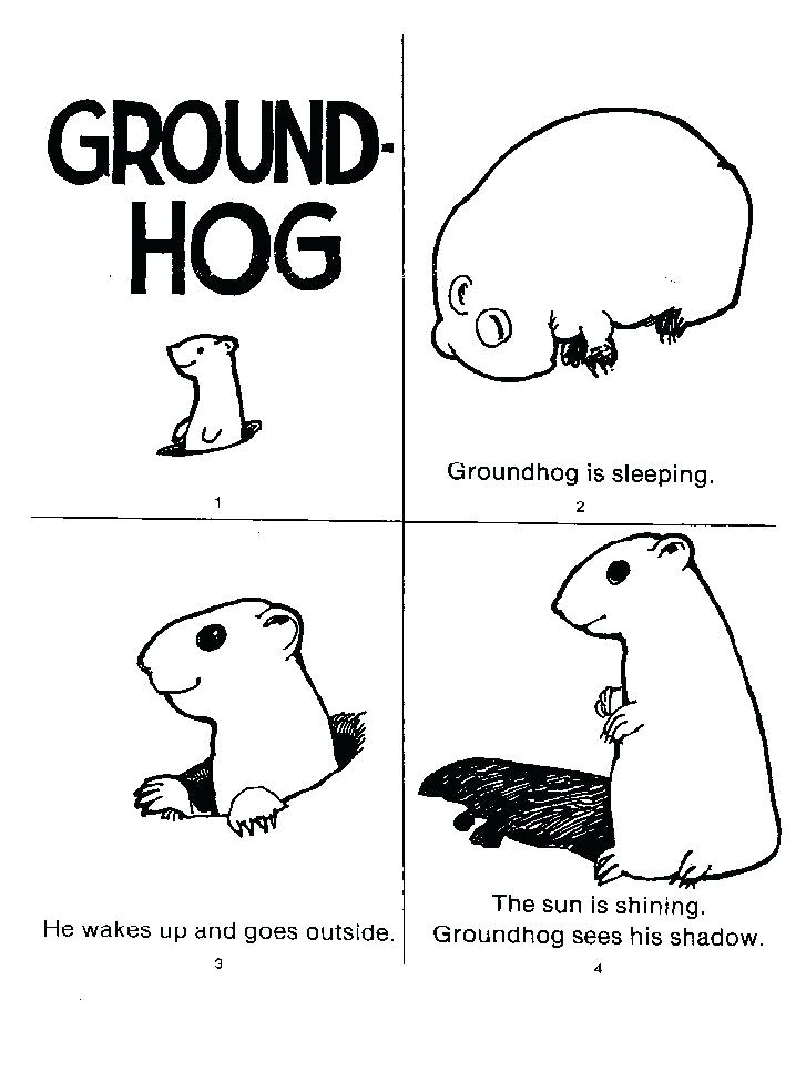 groundhog pictures to color printable