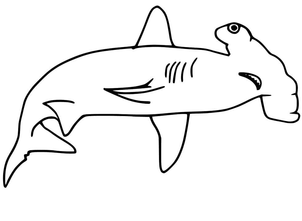 Hammerhead Shark 5 Coloring Page Free Printable Coloring Pages For Kids