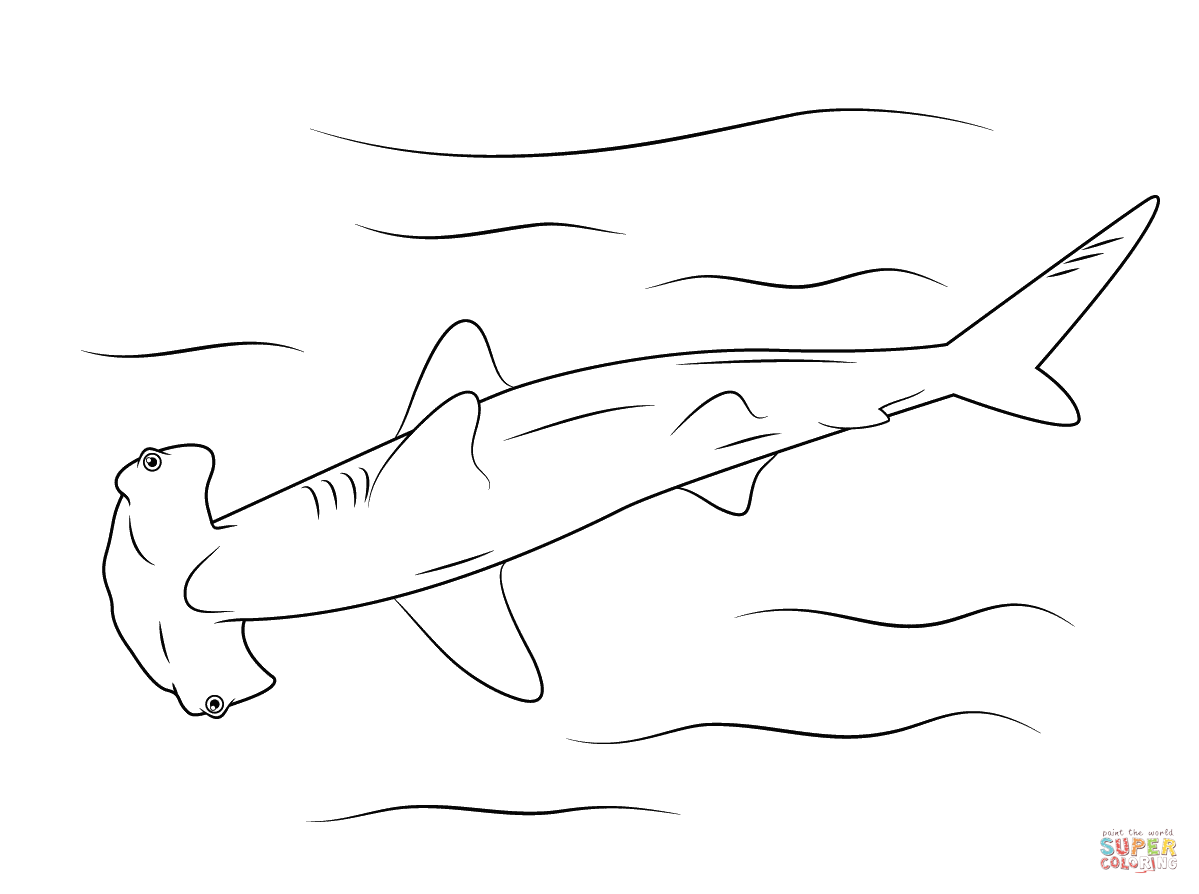 Hammerhead Shark Coloring Pages Free Coloring Home