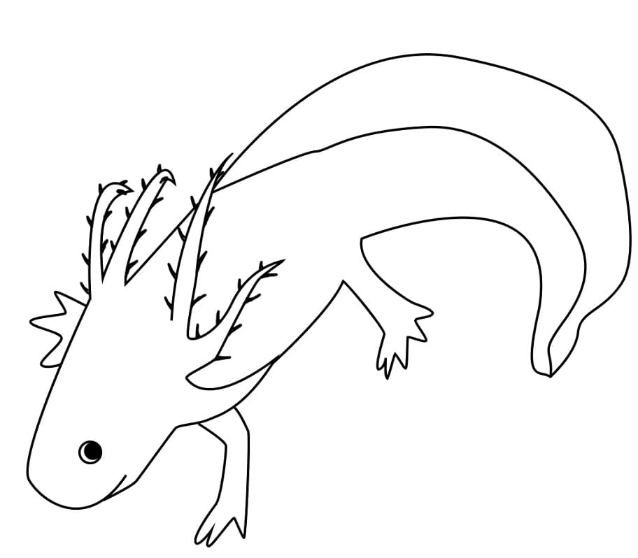 Happy Axolotl Coloring Page Free Printable Coloring Pages For Kids