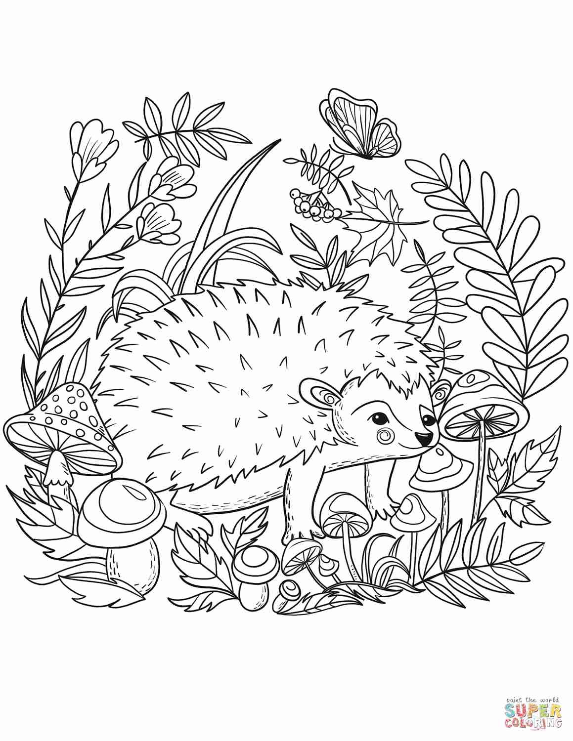 free printable hedgehog pictures to color