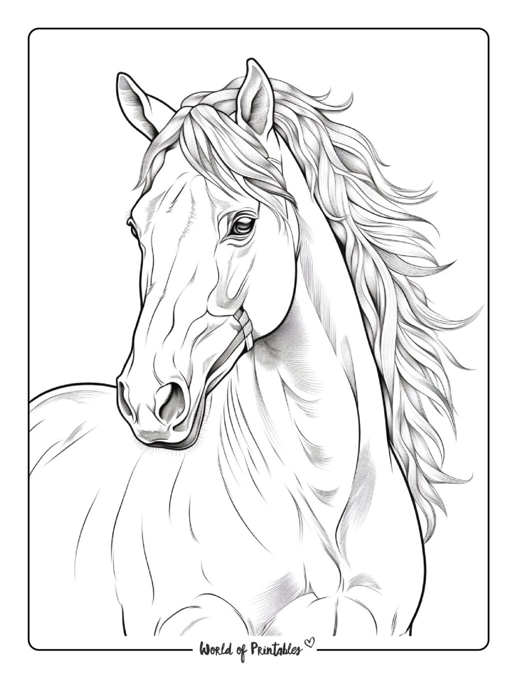 free coloring pages horse