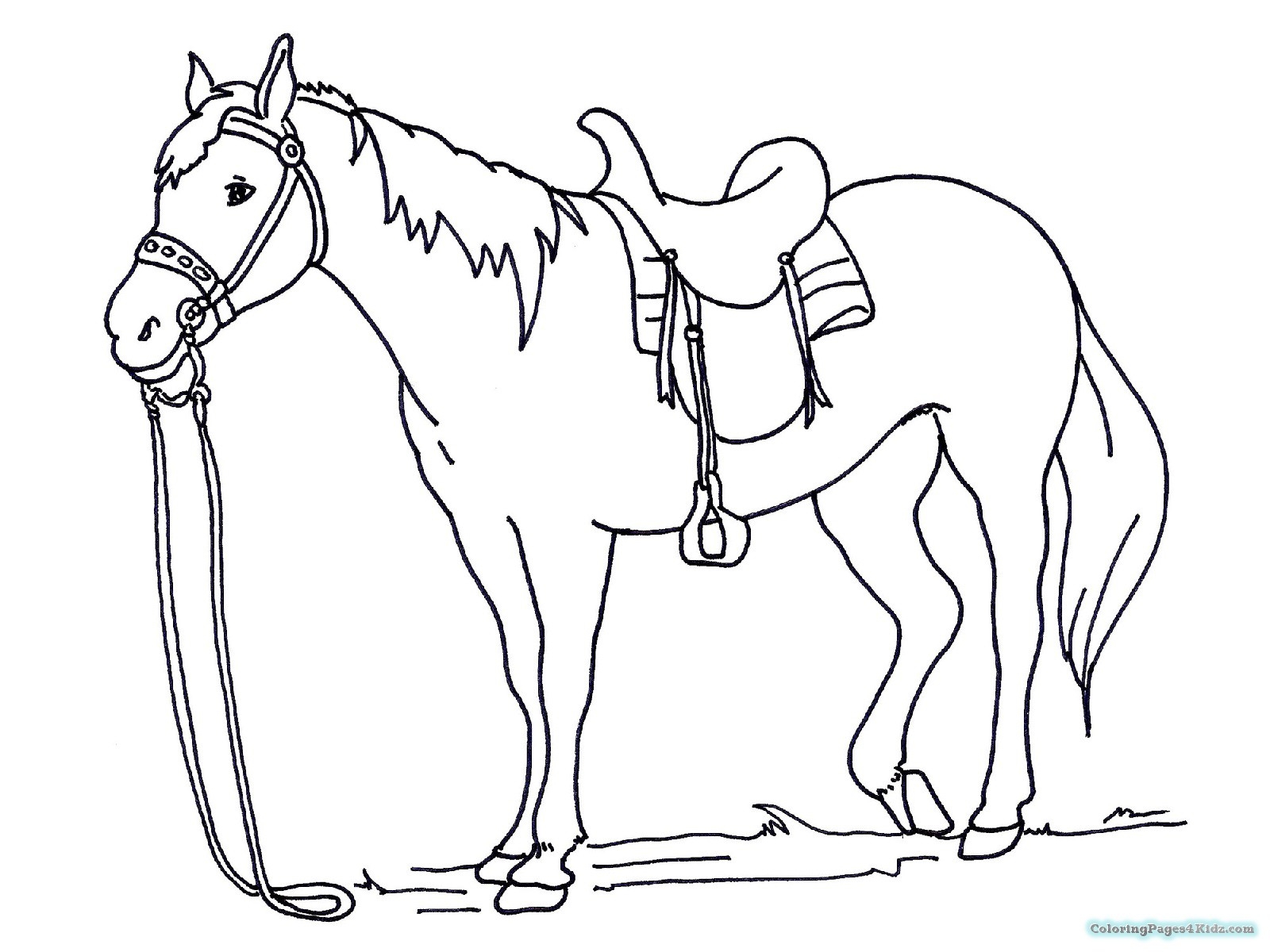 Horse Coloring Pages Spirit At GetDrawings Free Download