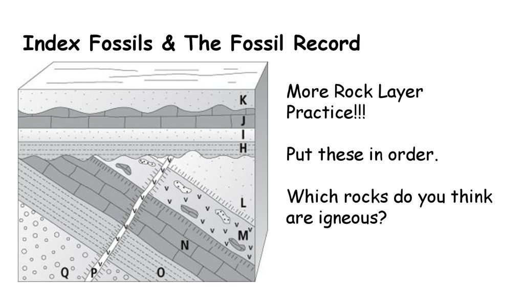 Identifying Index Fossils Activity PDF By The Common Core And More 