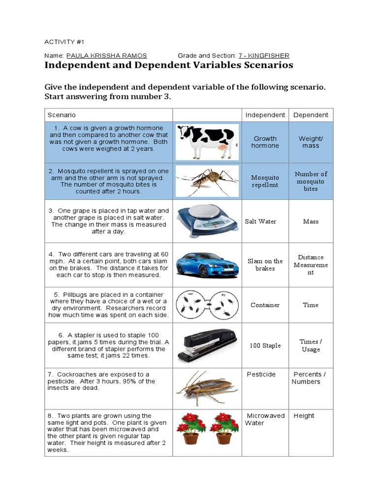 Independent And Dependent Variables Scenarios PDF Worksheets Library