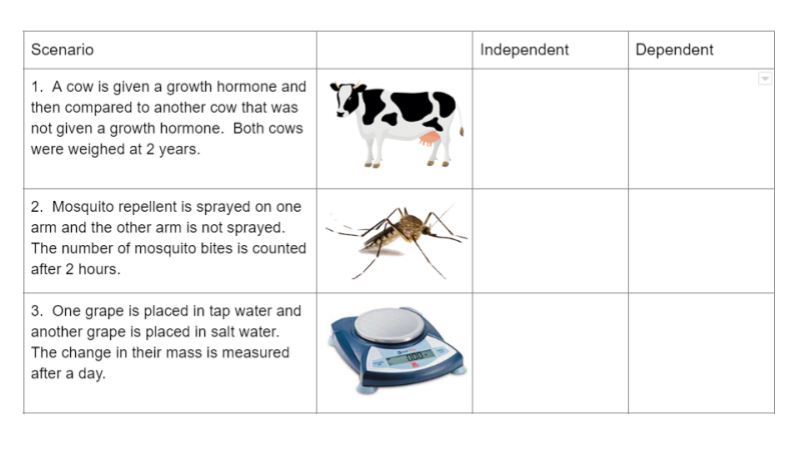 worksheet on independent and dependent variables